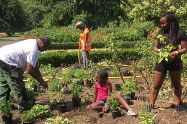 Vassall and Coldharbour Forum