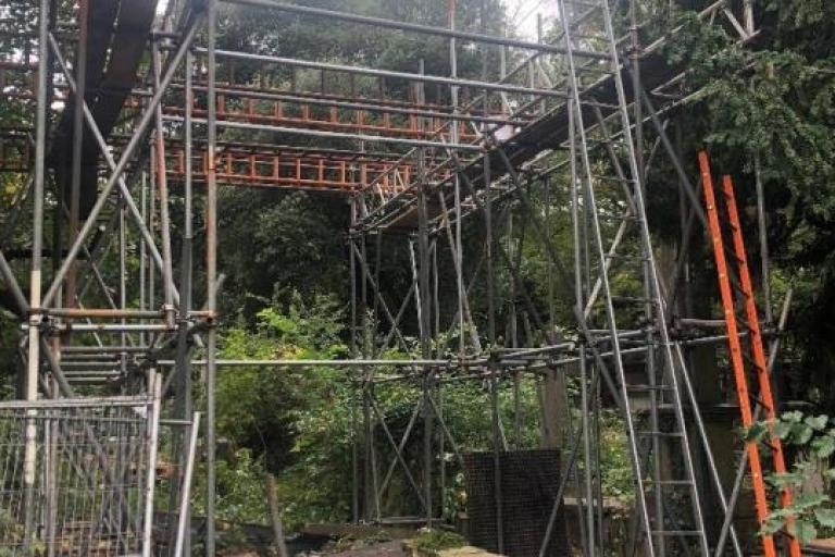 Scaffolding assembled in cemetery in Lambeth