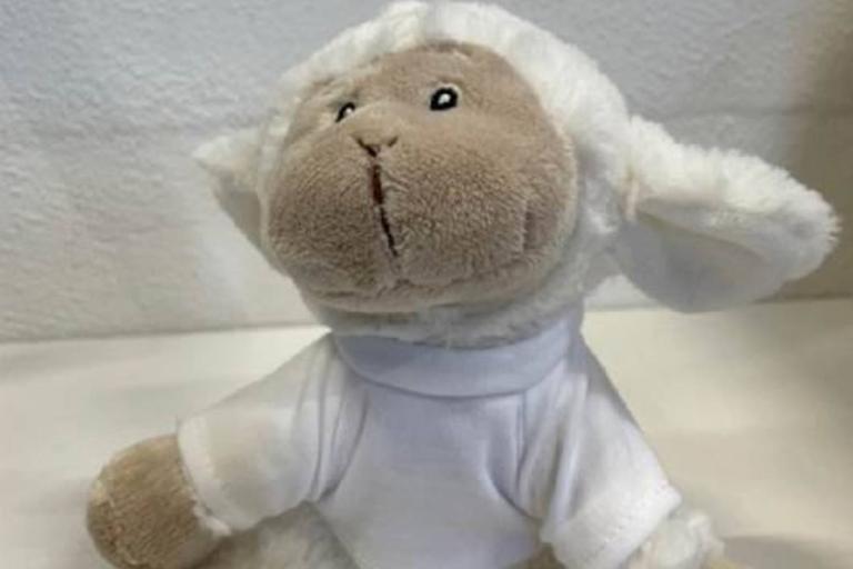 Lamb seated teddy