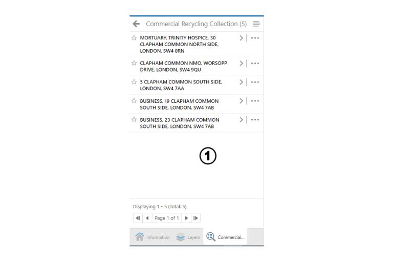 Search results individual records