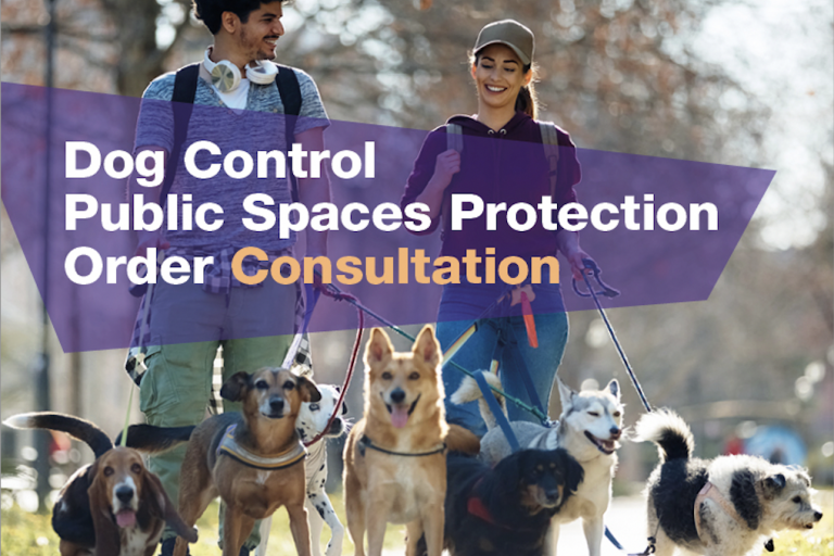 Dog Control Public Space Protection Order Consultation