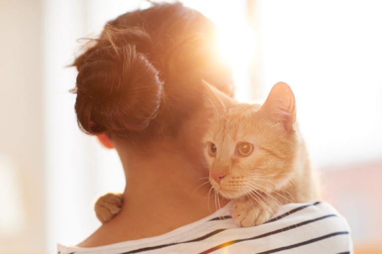 Pet owner carrying cat