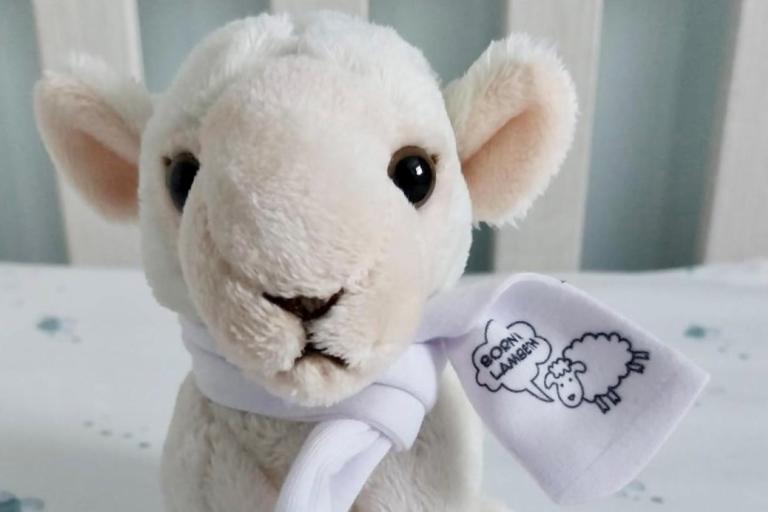 Lamb Teddy