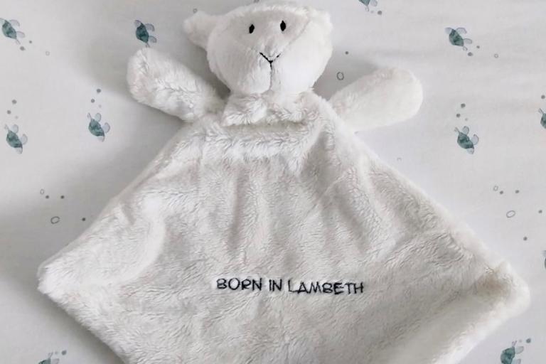 Lamb comforter