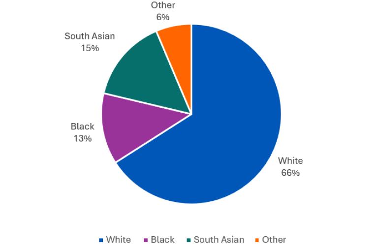 A pie chart showing suicide deaths in Lambeth between 2021 to 2023 by ethnicity
