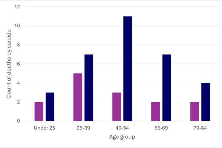 A bar chart showing the count of deaths by suicide, categorized by age group and gender. 