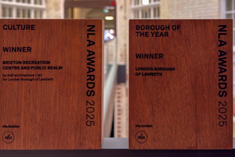 Lambeth NLA awards in Lambeth Town Hall