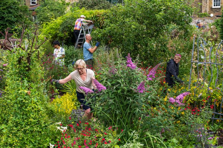 People gardening in a blooming garden