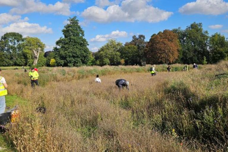 Brockwell Park rewilding