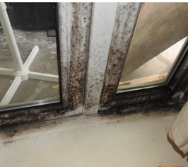 damp from condensation