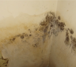 damp from defect