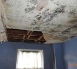 Traumatic damp example