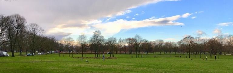 Grass on Clapham Common