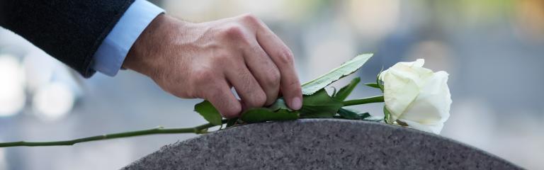 Hand laying white rose on gravestone