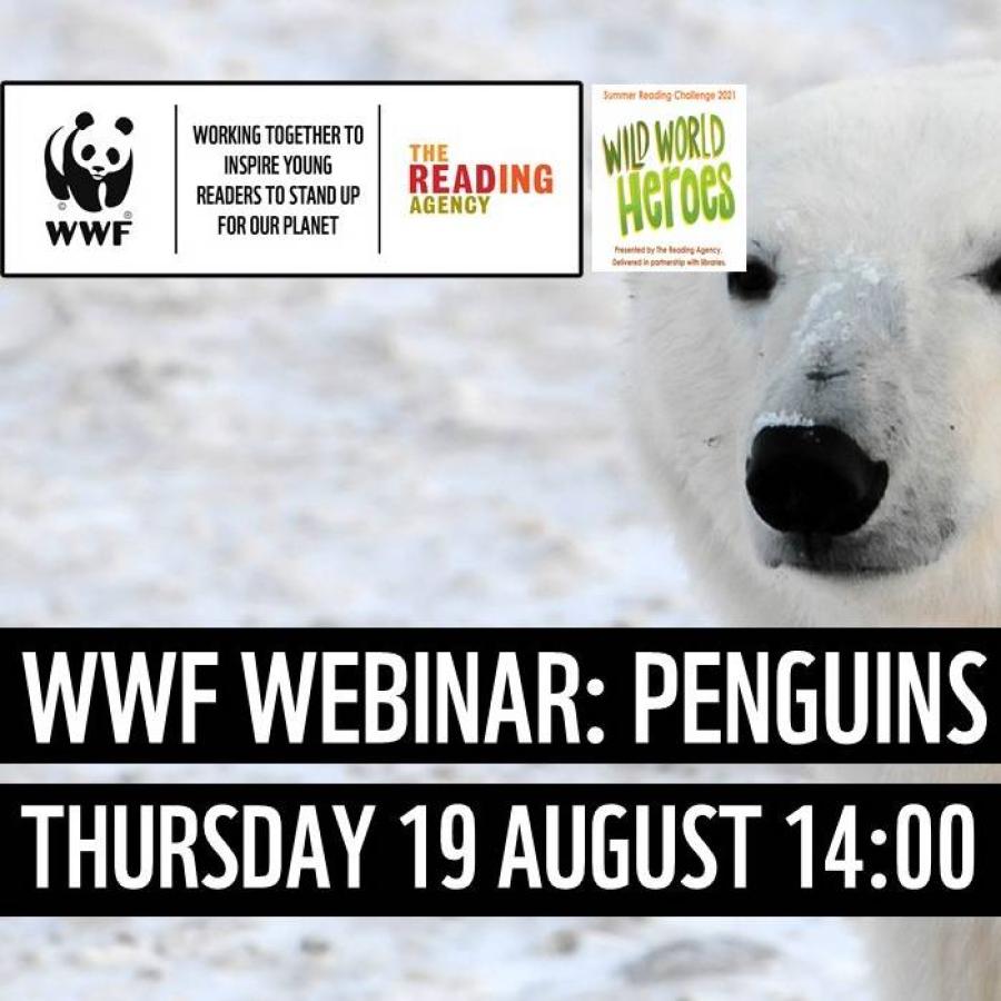 Penguins and Polar Bears with WWF