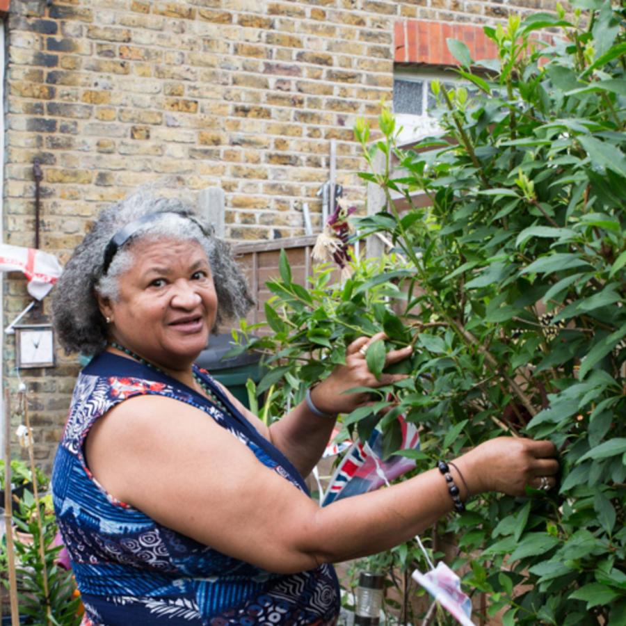 a snapshot of a lady plucking fruit bread