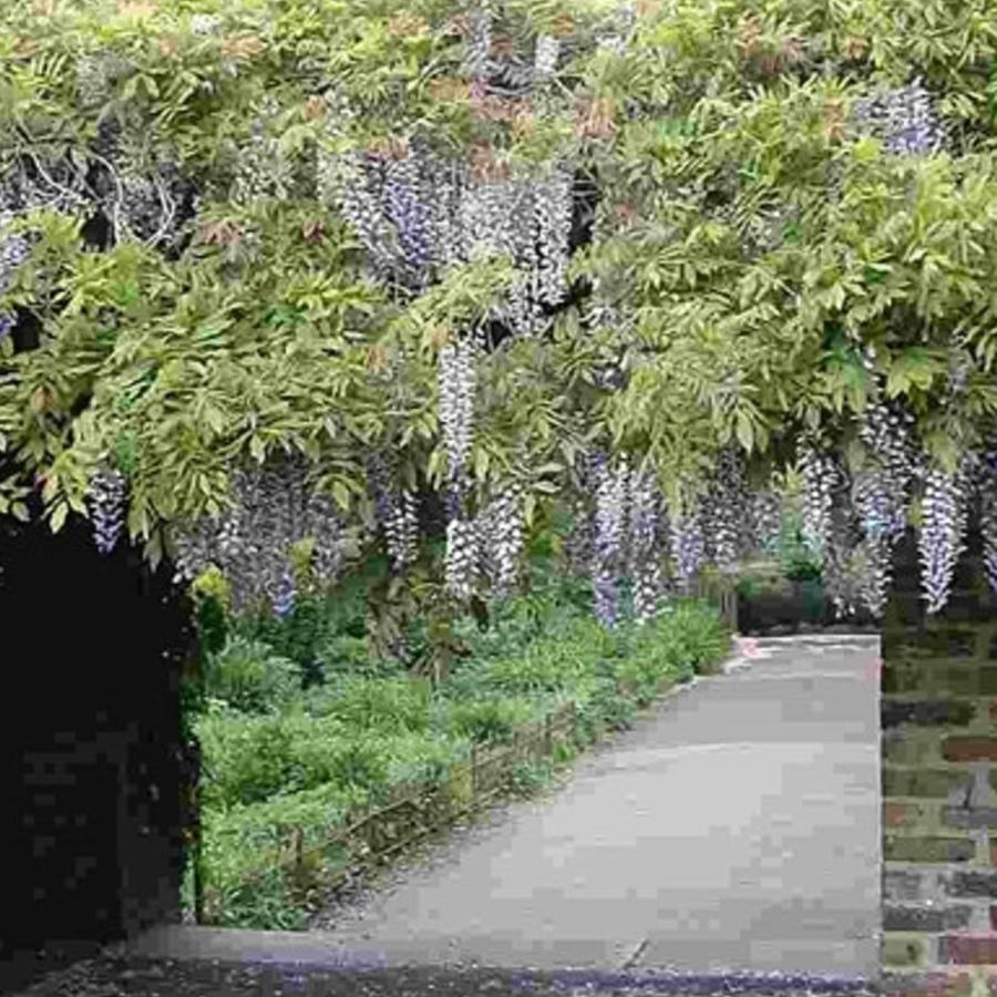 Lambeth parks and open spaces