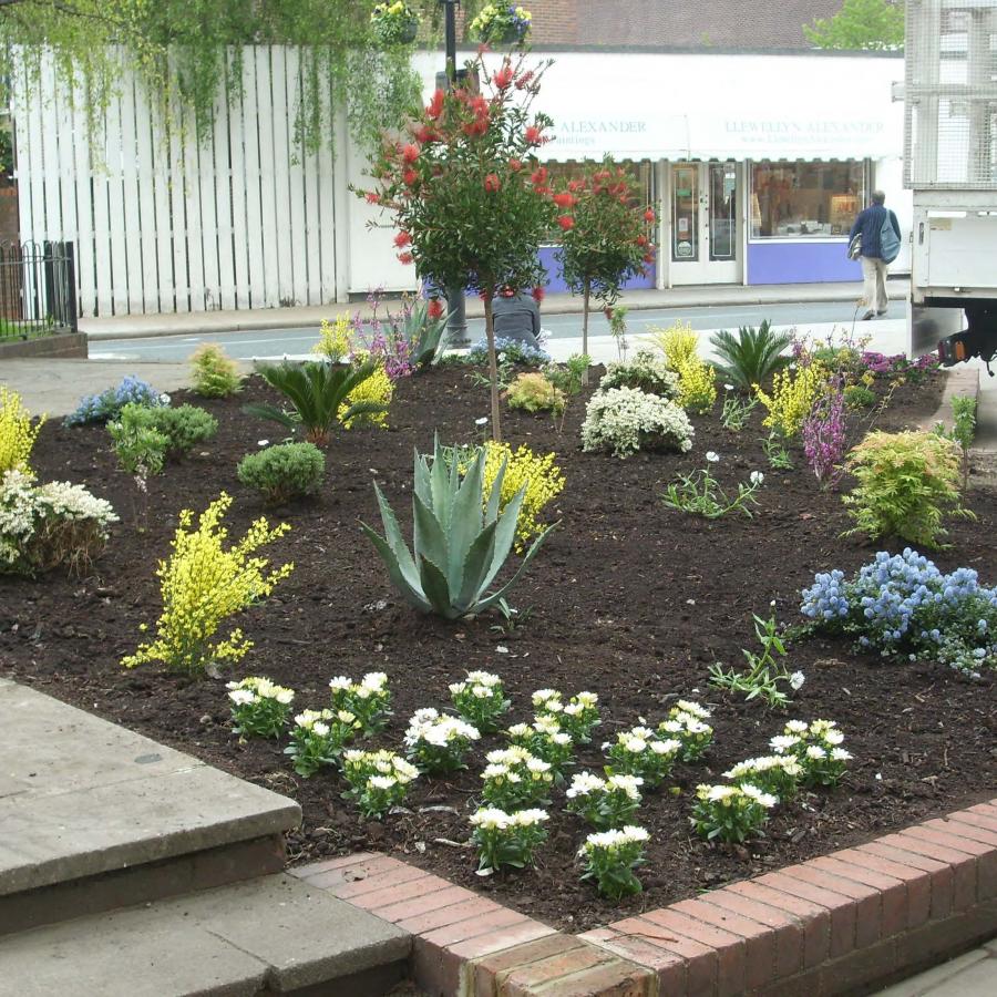 Flower beds in Emma Cons Gardens