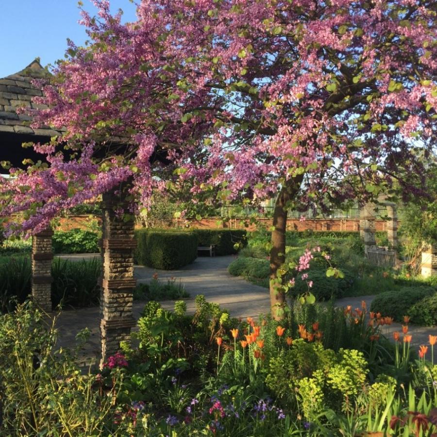 Flower garden in Kennington Park