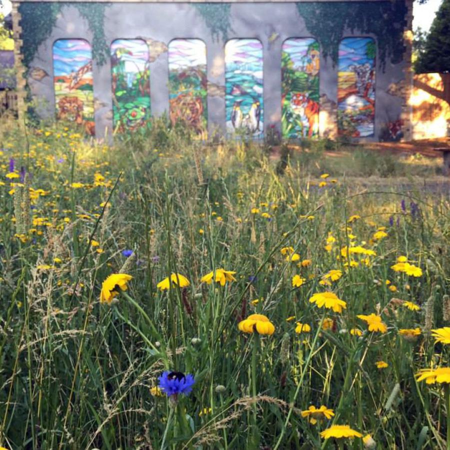 Wildflowers and community mural on wall in Palace Road Nature Garden