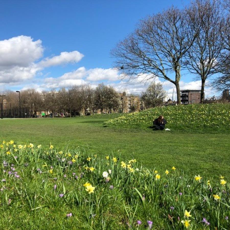 View of Vauxhall Pleasure Gardens