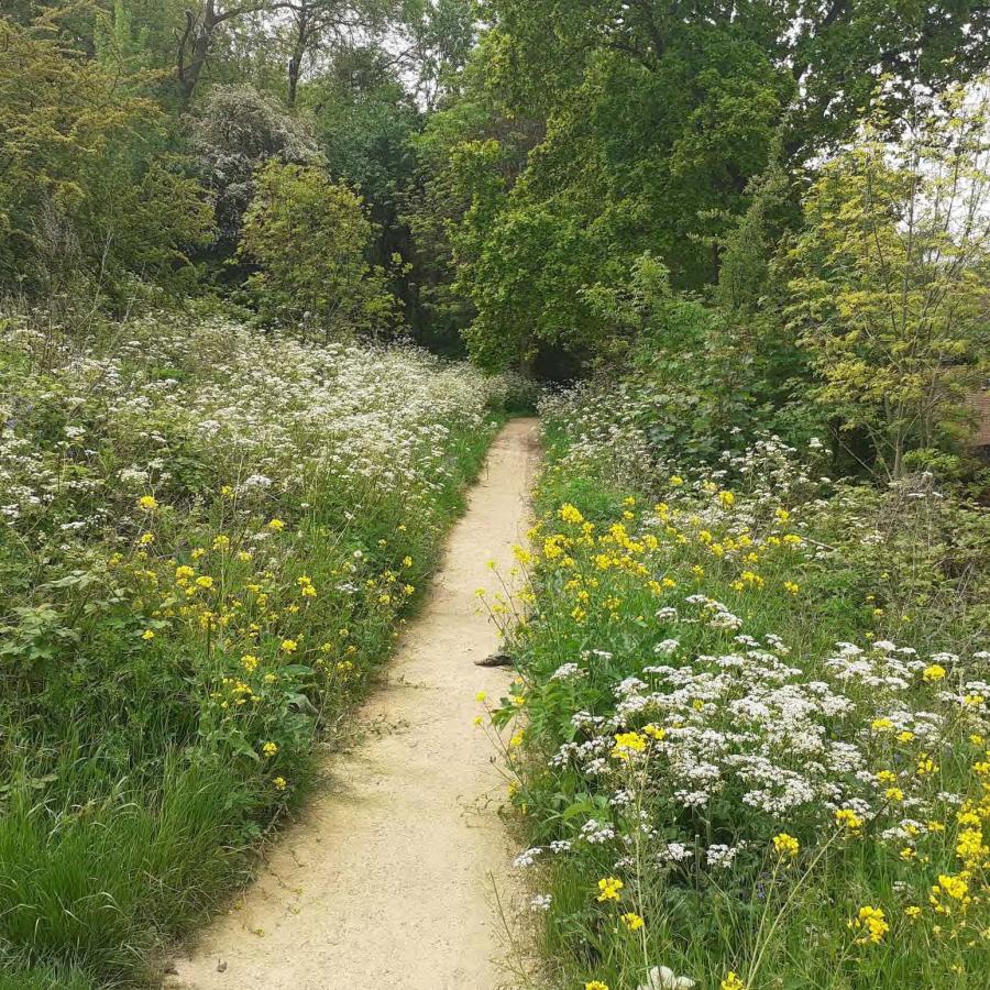 View of the meadow and woodlands in Unigate wood, looking south