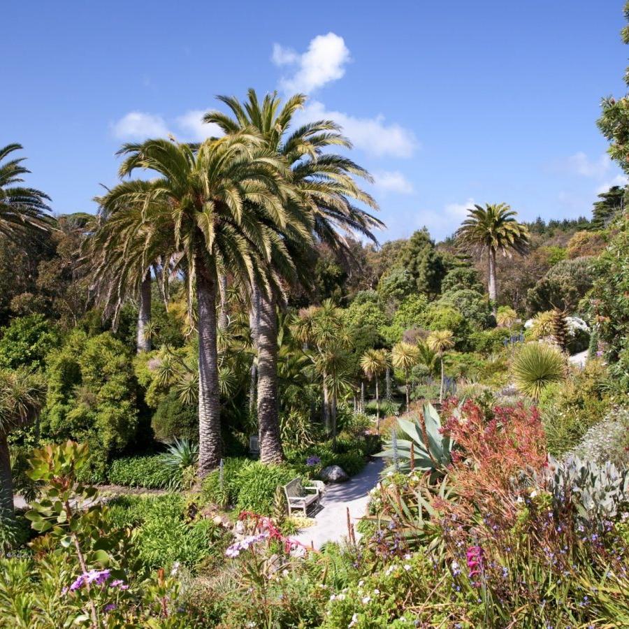 Tresco-Abbey-Garden-Credit-Andrew-Roland.jpg