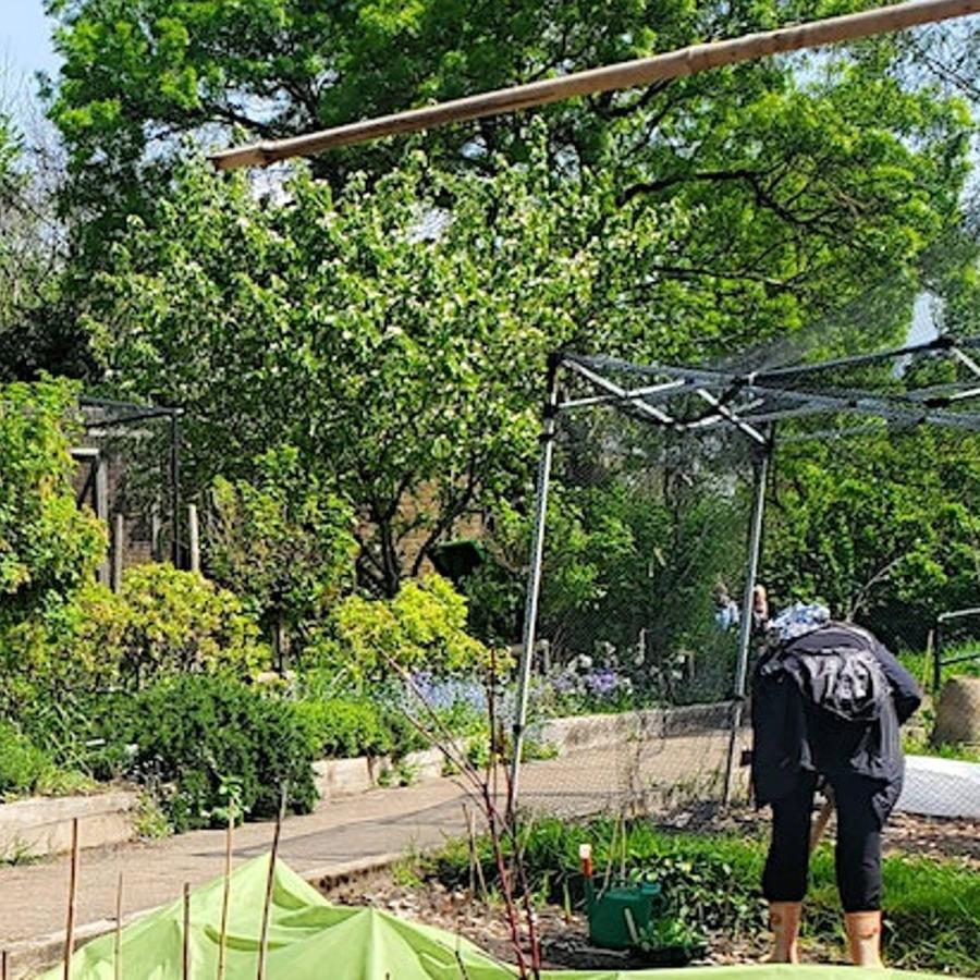 a person gardening