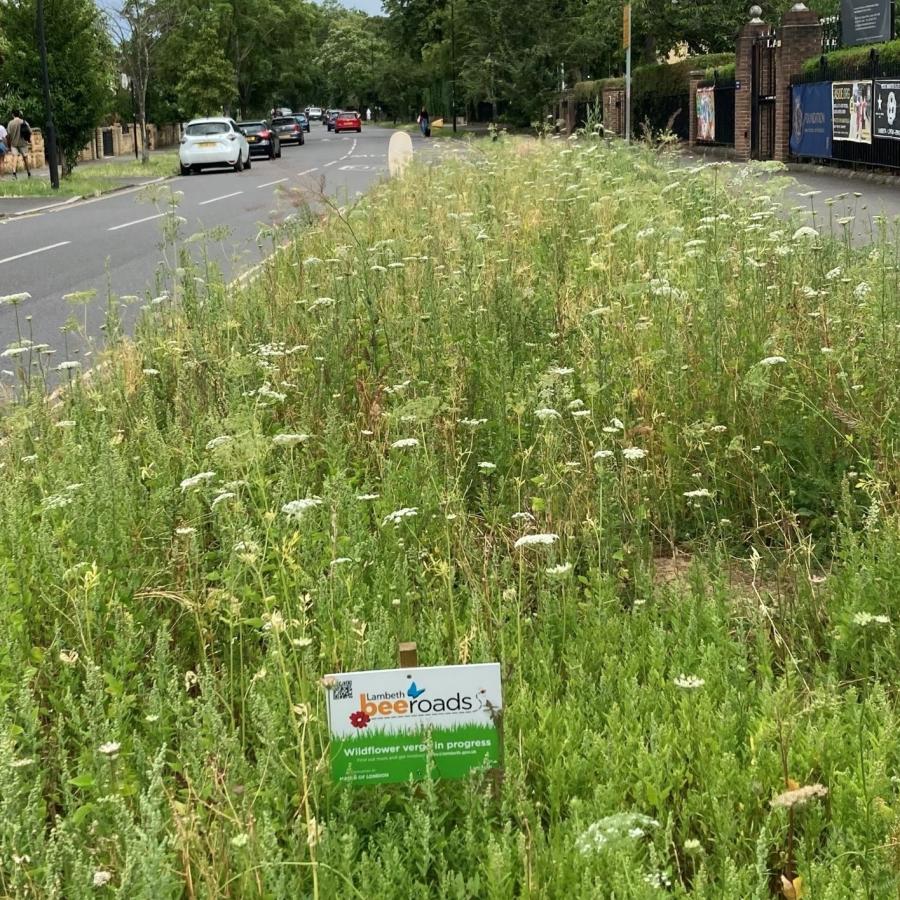 View of a Bee Roads verge on Atkins Road in Balham