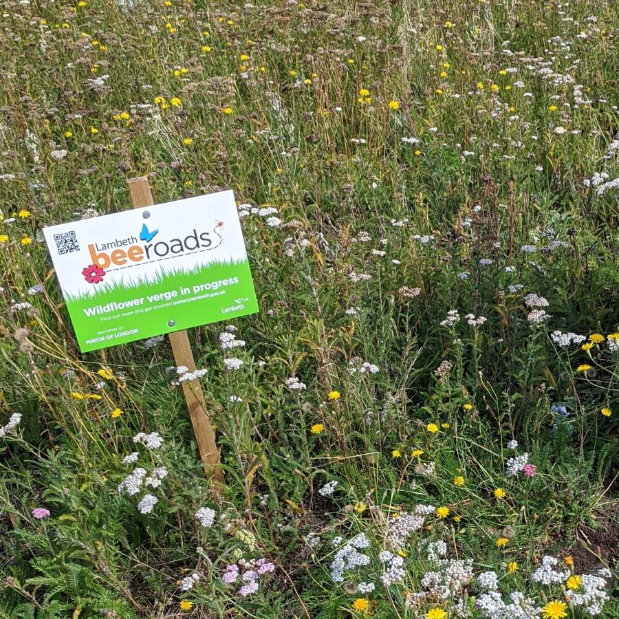 Bee Road site on verge next to Cowley Road in Brixton