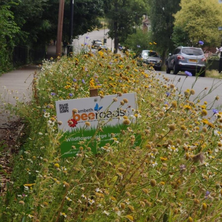 Bee Road site on a verge alongside Covington Way in Streatham