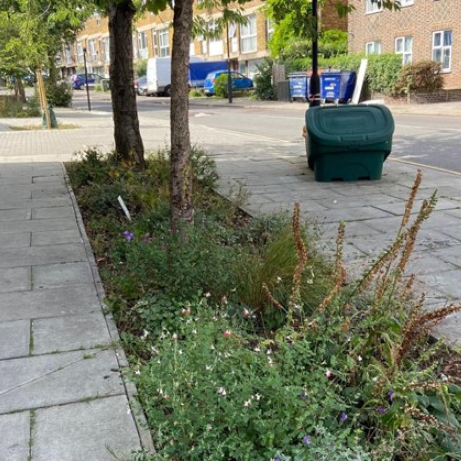 Planted verge on Norwood Road