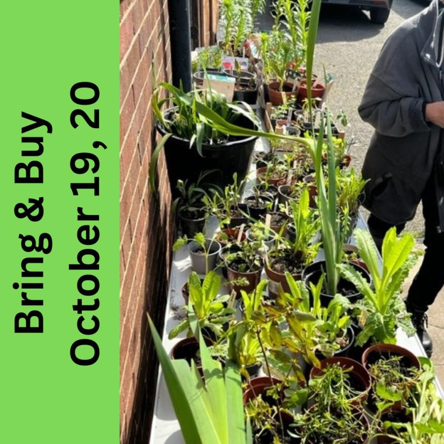 photo of wooden table with plants on it plus bring and buy sale dates on left