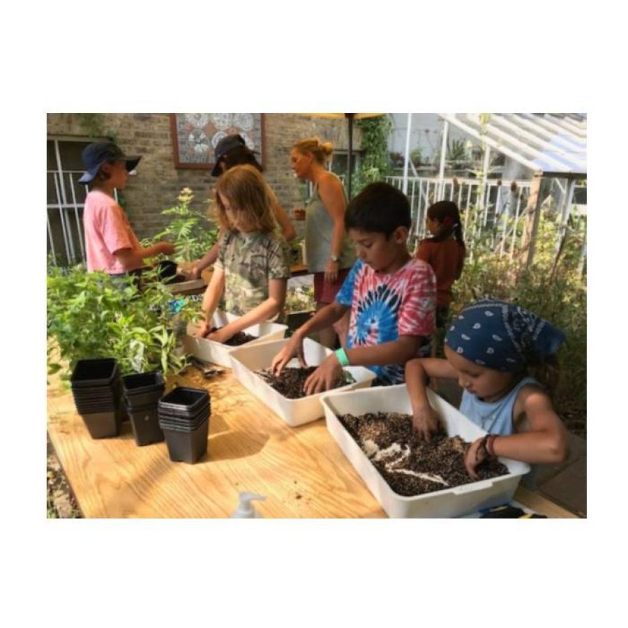 kids in the garden shed