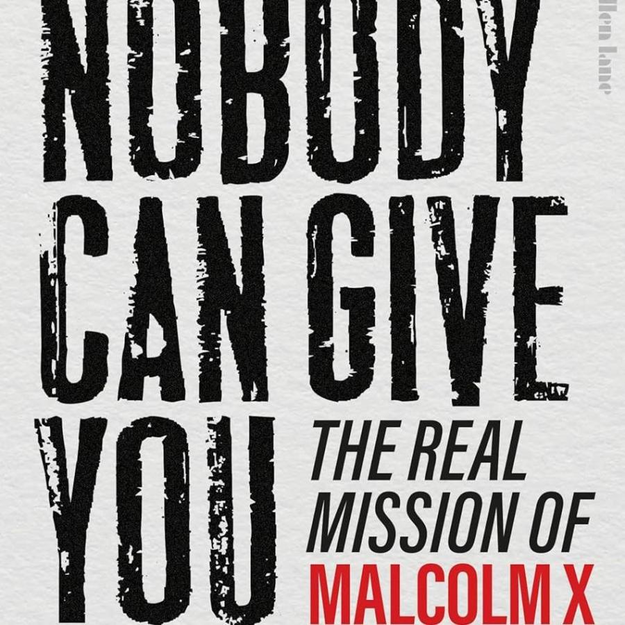 Nobody Can Give You Freedom (BOOK COVER