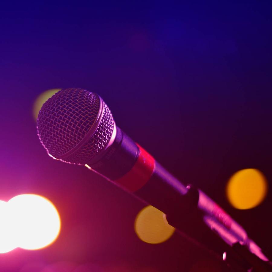A snapshot of a microphone