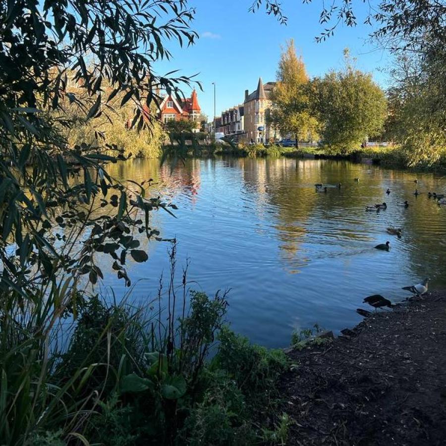 Clapham lakeside