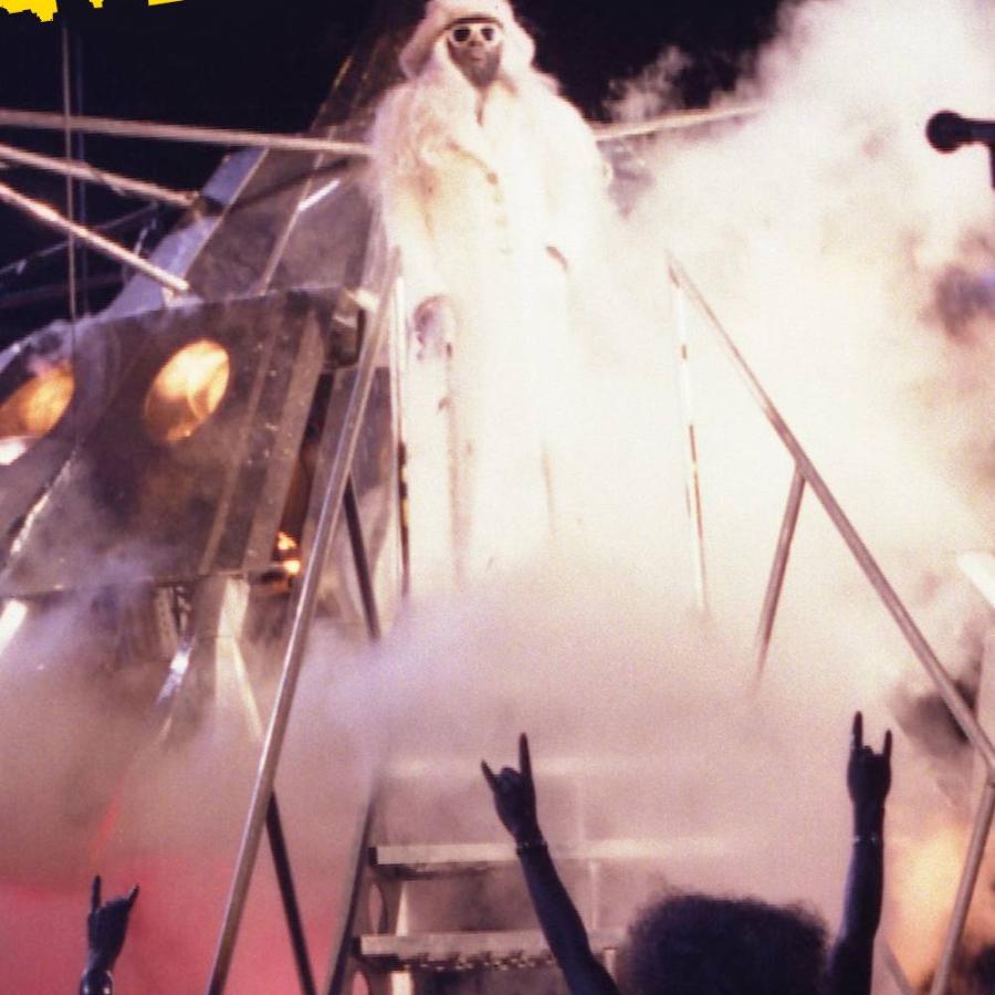 people celebrating at a concert