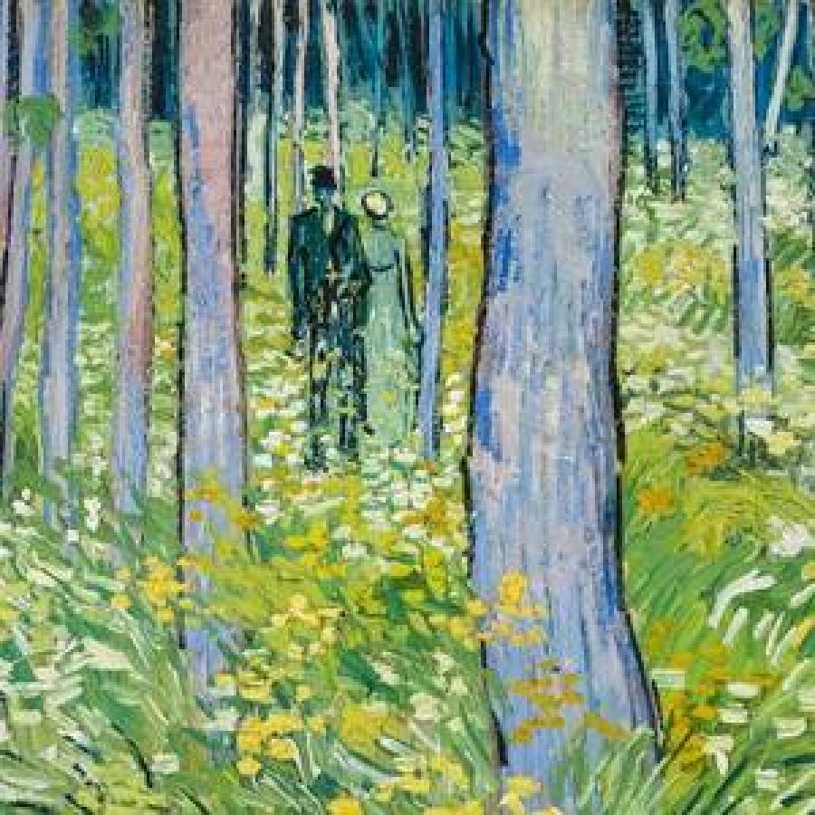 Two figures walking through vibrant sunlit forest filled with wildflowers.