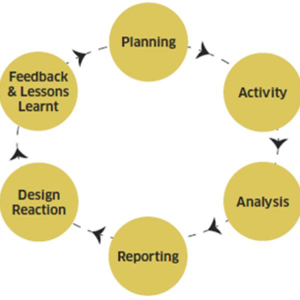 Iterative design process of planning, activity, analysis, reporting, design reaction and feedback